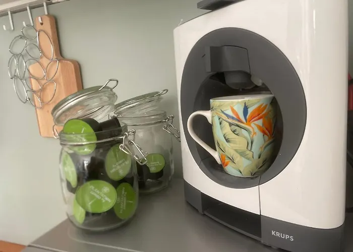 Le Tropical - Avec Terrasse Angulema